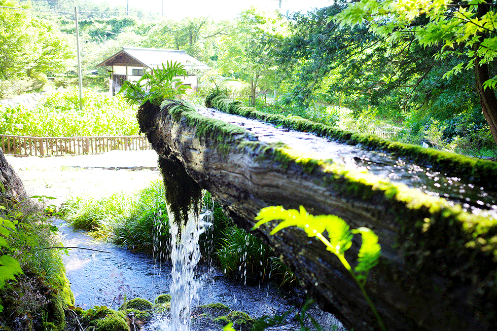 メンテナンスが楽です